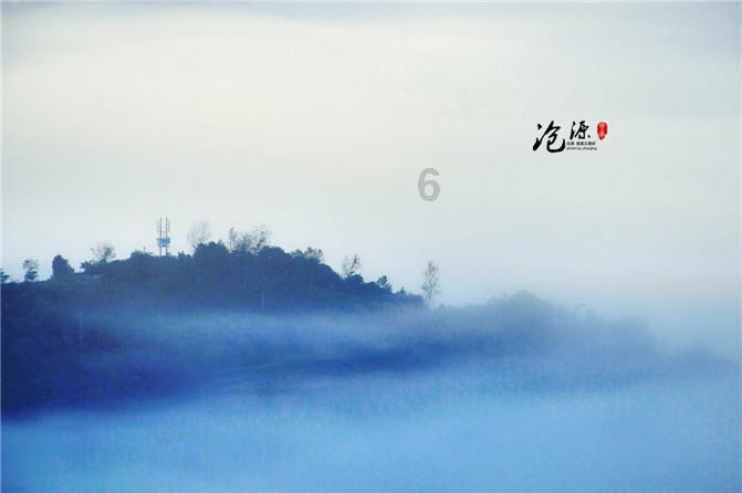 海獭睡觉是什么样子的呢？